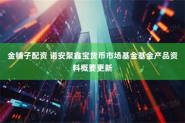 金铺子配资 诺安聚鑫宝货币市场基金基金产品资料概要更新