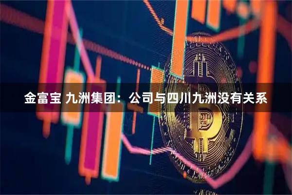 金富宝 九洲集团：公司与四川九洲没有关系